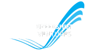 Speed Shift Ventures